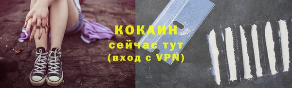 дмт Костерёво