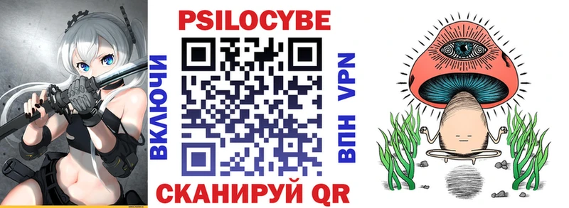блэк спрут как войти Шлиссельбург Галлюциногенные грибы GOLDEN TEACHER что такое